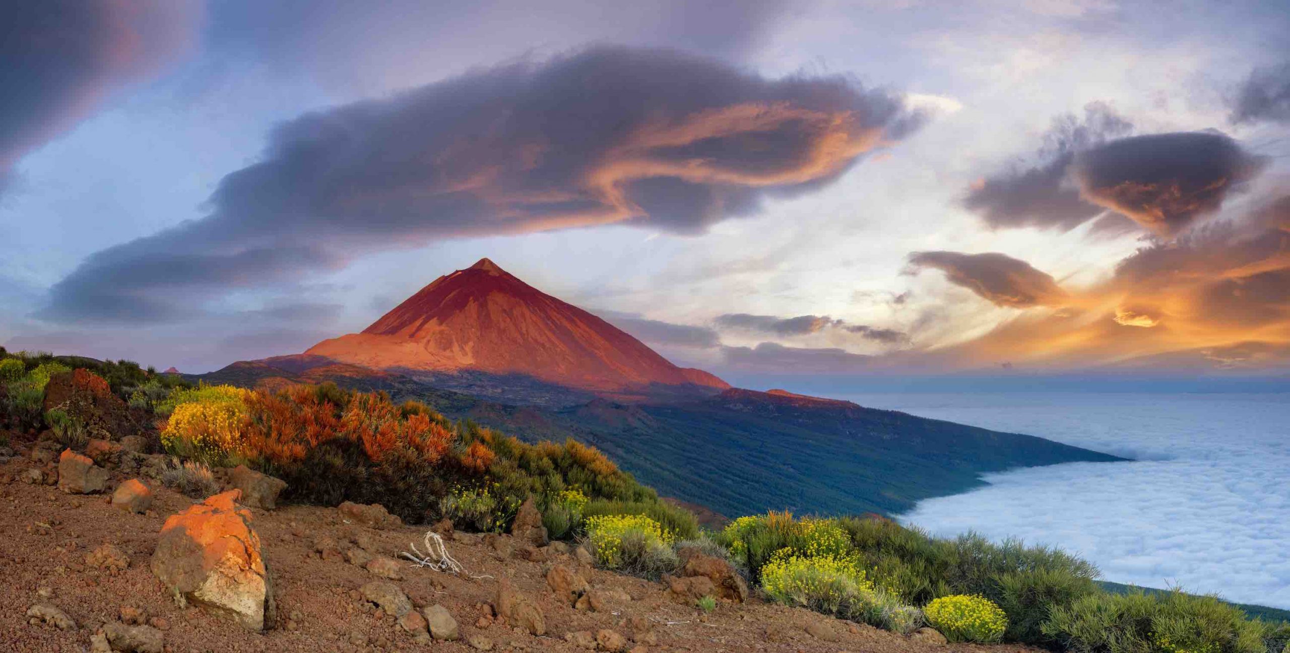 canary islands