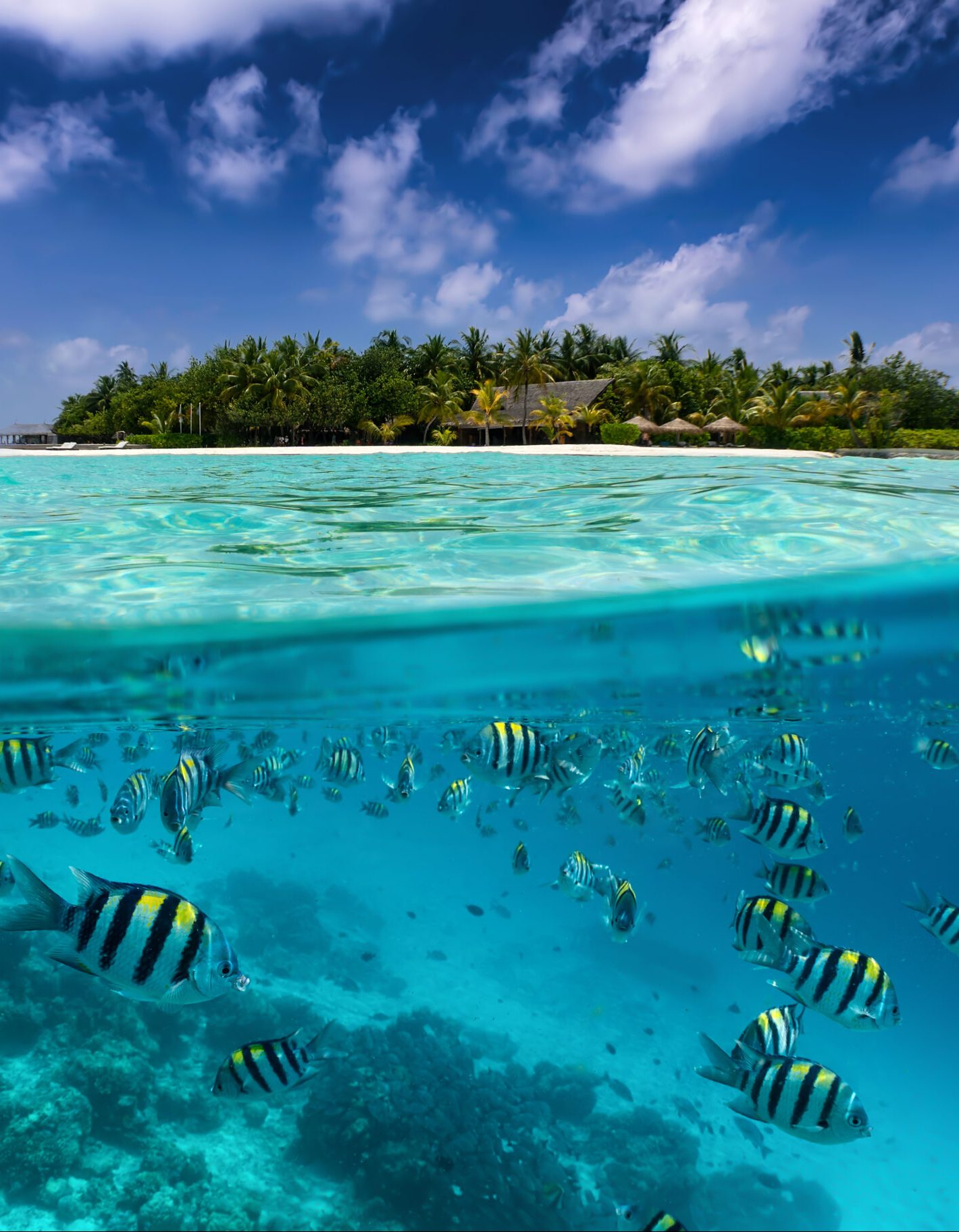 indian ocean maldives hero