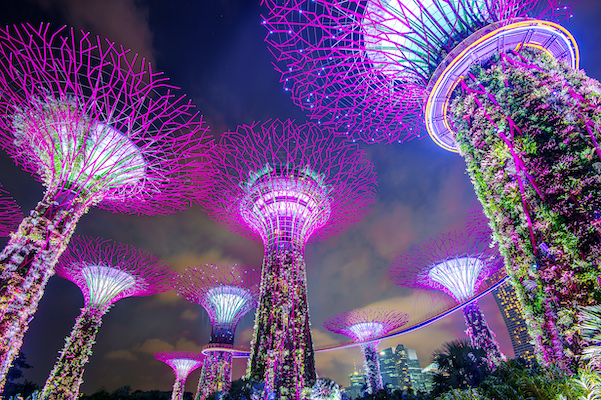 gardens by the bay in singapore