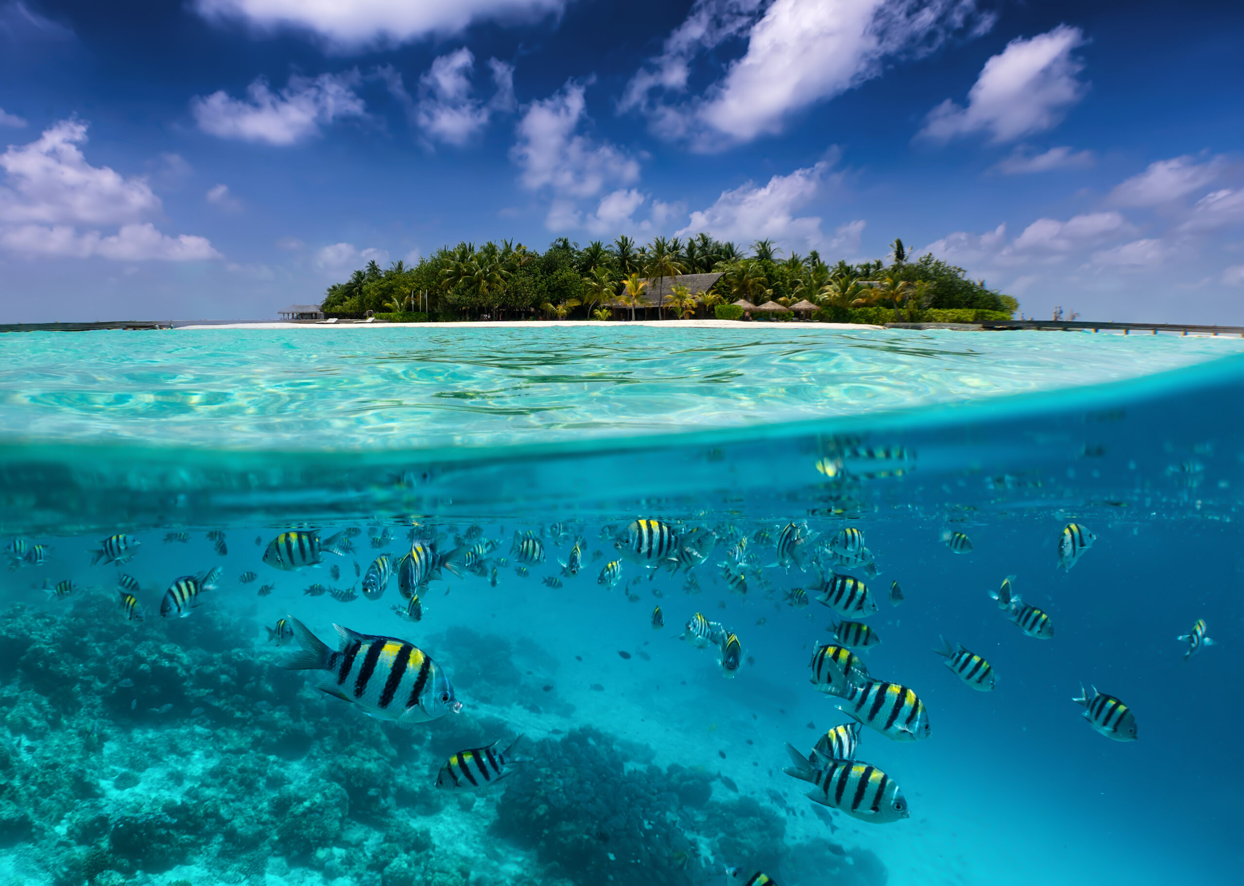 indian ocean maldives hero