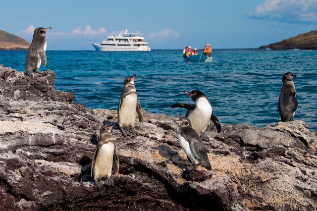 galapagos islands