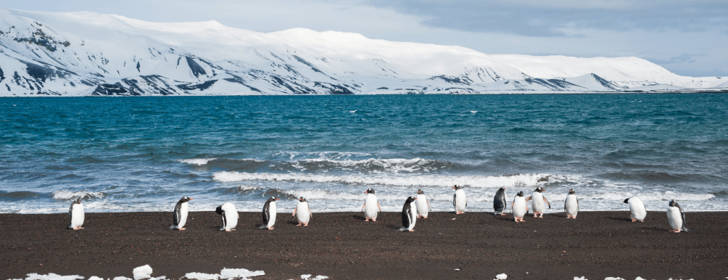 deception-island