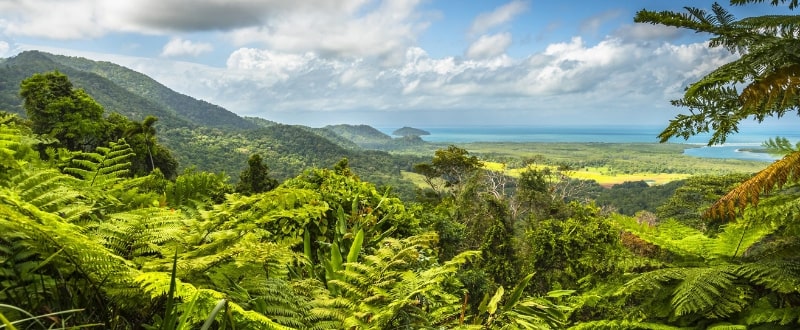 daintree-national-park-queensland